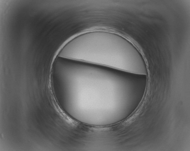 X0000083611296200702120714