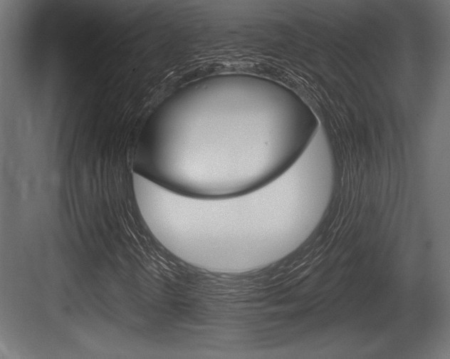 X0000083611298200702120713