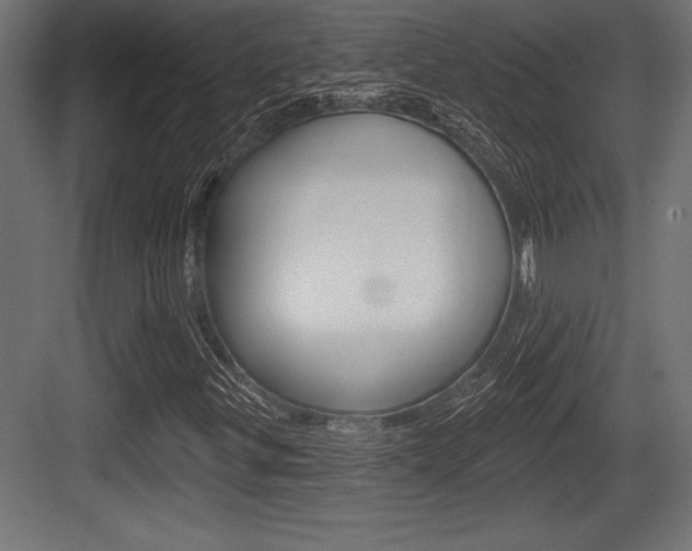 X0000083611299200702120713