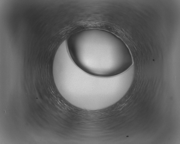 X0000083611300200702120713