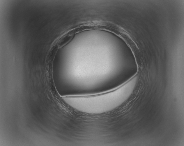 X0000083611304200702120713