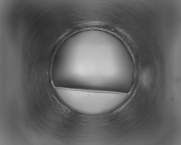 X0000083611305200702120713
