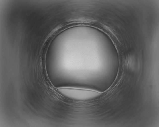 X0000083611307200702120713