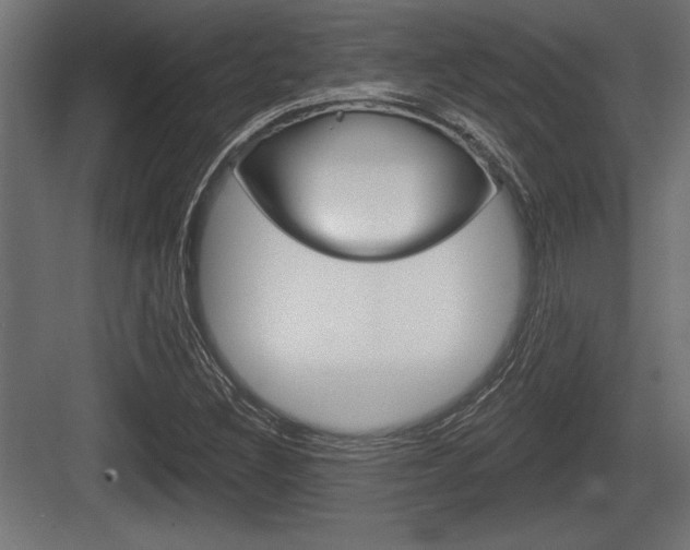 X0000083611308200702120713