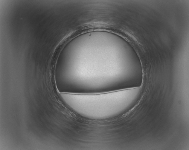 X0000083611309200702120713