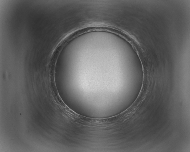 X0000083611311200702120713
