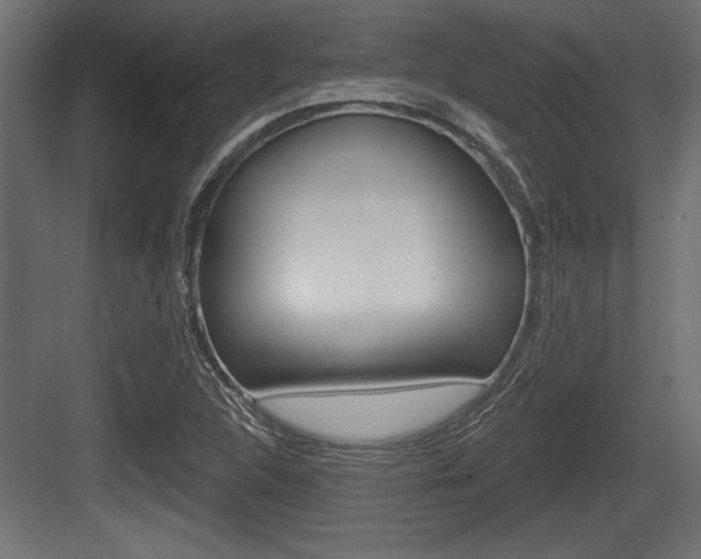 X0000083611312200702120713