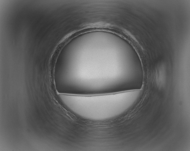 X0000083611315200702120713