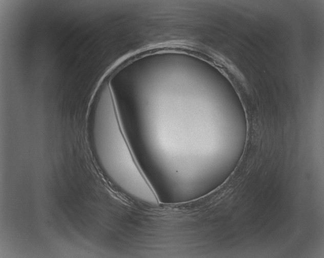 X0000083611316200702120713