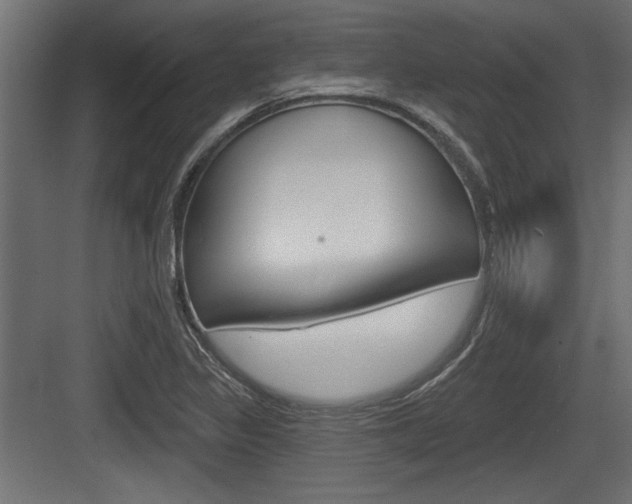 X0000083611317200702120713
