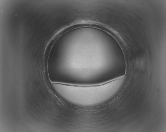 X0000083611319200702120713