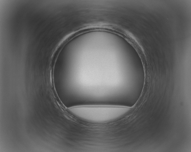 X0000083611320200702120713