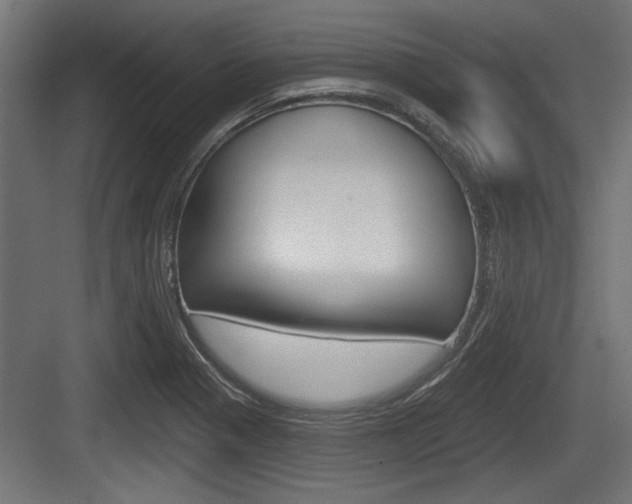 X0000083611321200702120713