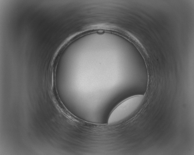 X0000083611323200702120713