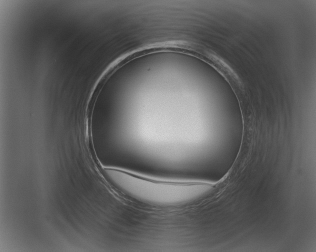 X0000083611324200702120713