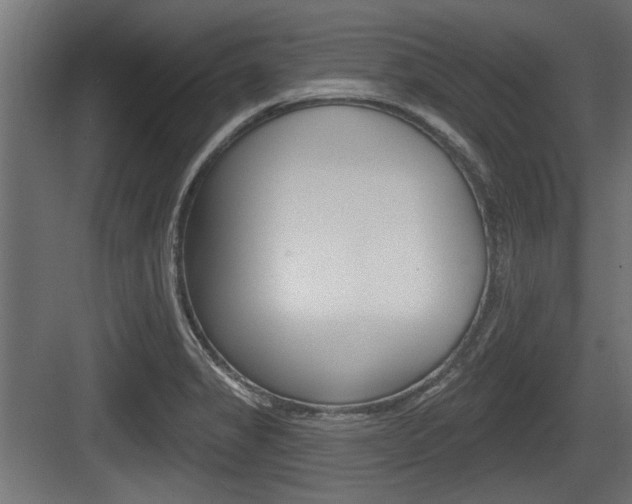 X0000083611325200702120713