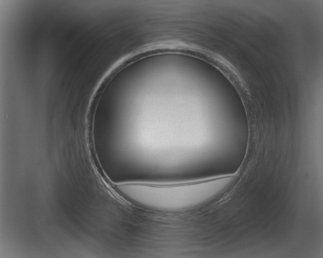 X0000083611326200702120713