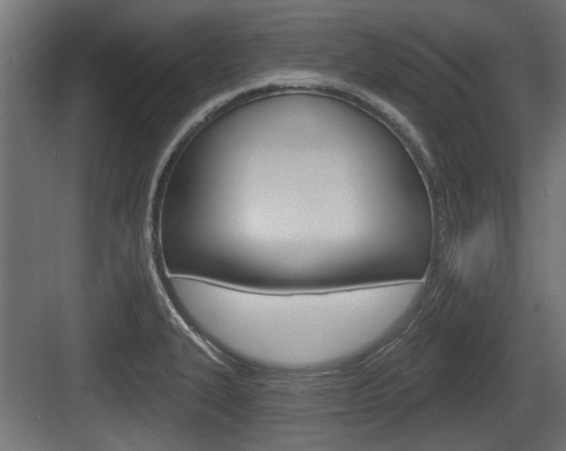 X0000083611327200702120713