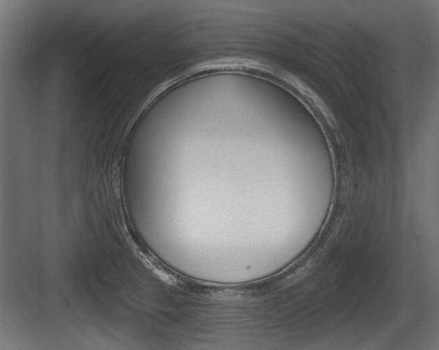 X0000083611329200702120713