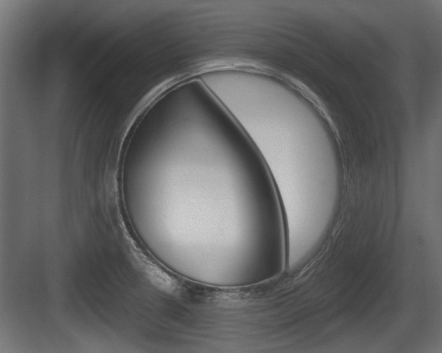 X0000083611330200702120714
