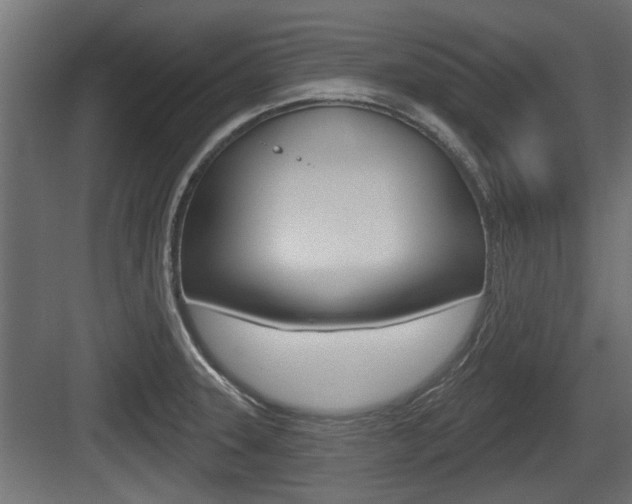 X0000083611331200702120714