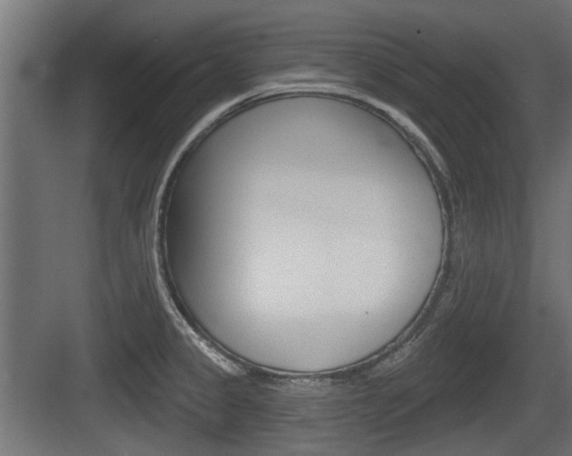 X0000083611333200702120714