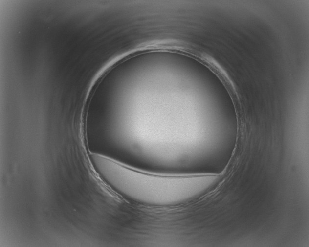 X0000083611336200702120714