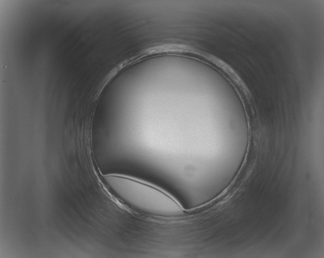 X0000083611337200702120714