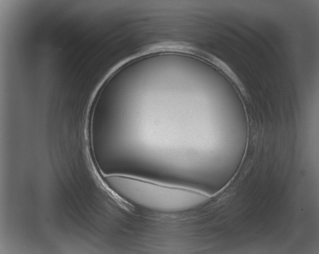 X0000083611339200702120714