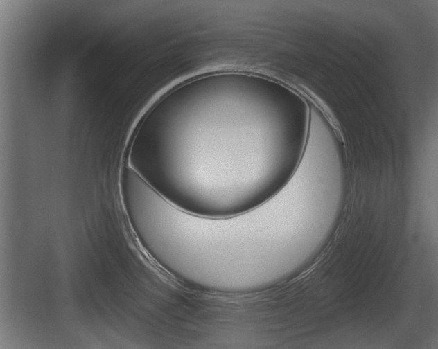 X0000083611340200702120714