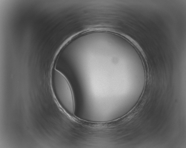 X0000083611341200702120714