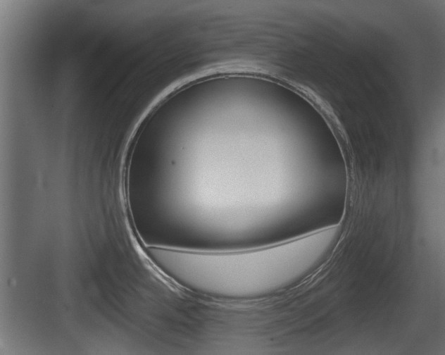 X0000083611342200702120714