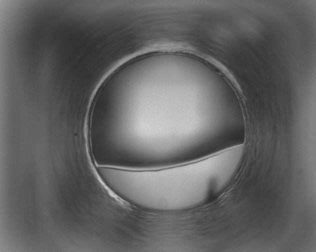 X0000083611343200702120714