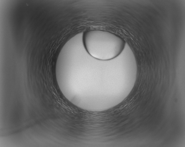 X0000083611345200702120713