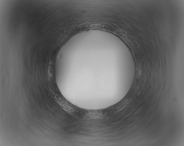 X0000083611346200702120713