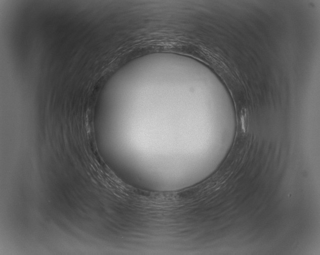 X0000083611347200702120713