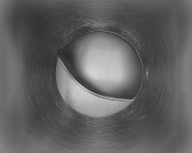X0000083611348200702120713