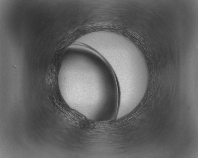 X0000083611349200702120713