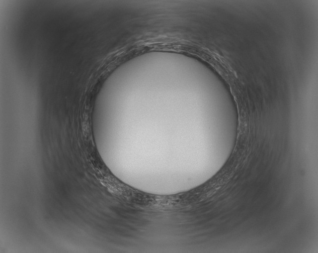 X0000083611350200702120713