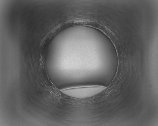 X0000083611351200702120713
