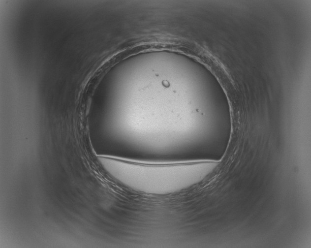 X0000083611352200702120713