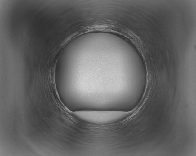 X0000083611353200702120713