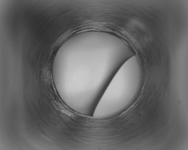 X0000083611354200702120713
