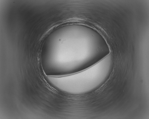 X0000083611355200702120713