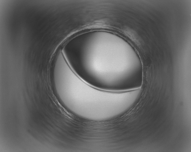 X0000083611356200702120713