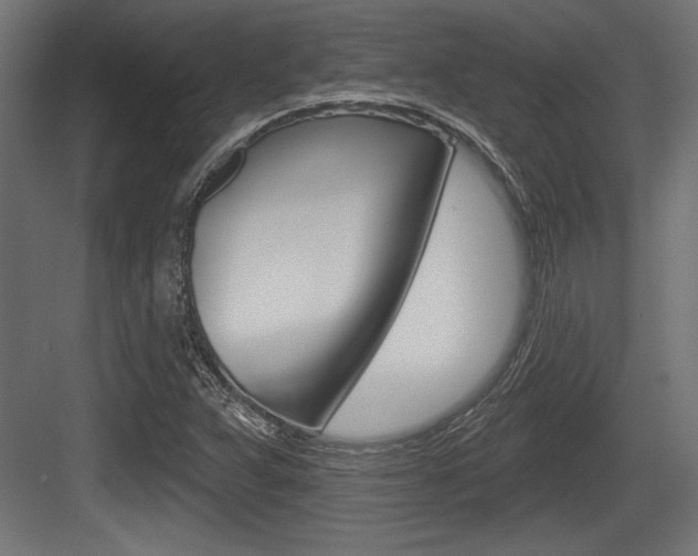 X0000083611359200702120713
