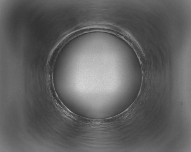 X0000083611360200702120713
