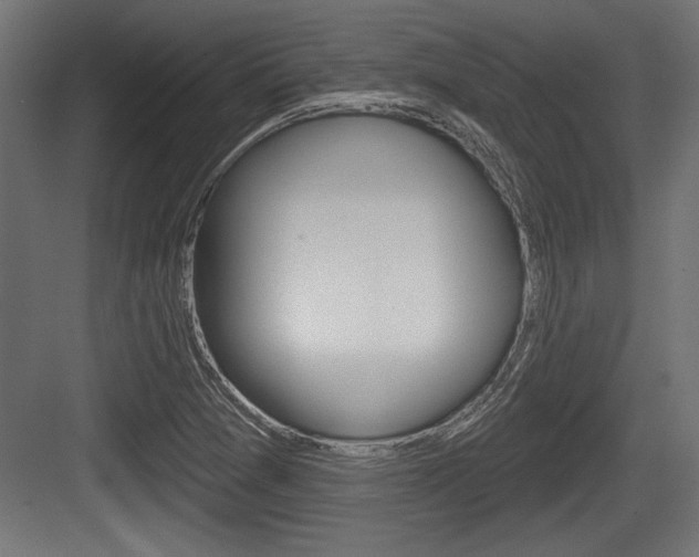 X0000083611361200702120713
