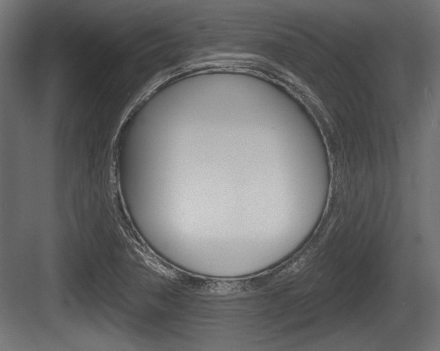 X0000083611362200702120713