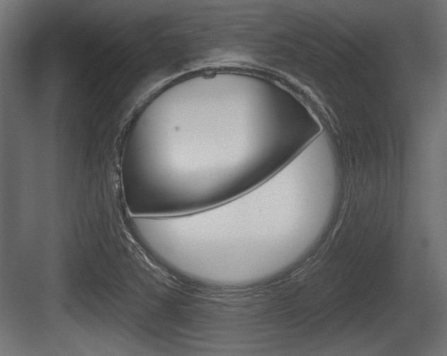 X0000083611363200702120713